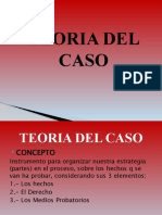 TEORIA DEL CASO 2