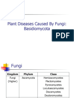 TOPIC 5 Plant Pathogen Fungi Phylum Basidiomycota