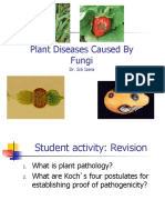 TOPIC 3 Plant Pathogen Fungi and Fungal-Like Organisms