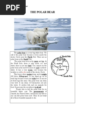 The Polar Bear