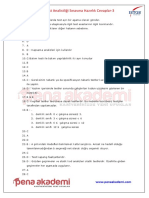 PenaAkademi Temel Seviye Set-3 Cevaplar