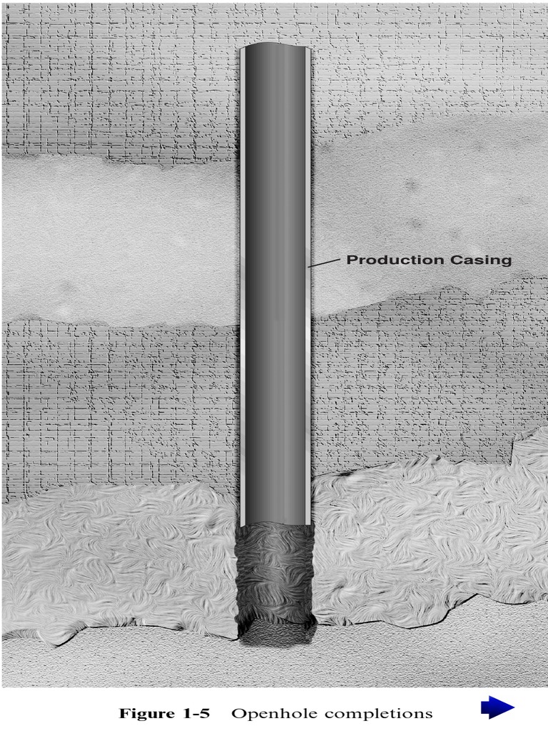 PWC01F05 | PDF | Casing (Borehole) | Oil Well