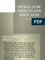 Neural Tube Defects and Folic Acid: Dr. Sukma Sahreni, M.Gizi