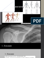 Опорно-двигателна система.
