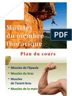 Myologie Du Membre Supérieur