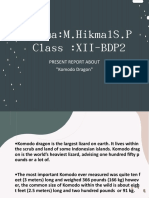 Nama:M.Hikmals.P Class:Xii-Bdp2: Present Report About "Komodo Dragon"