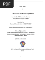 Brain Tumor Classification Project Report