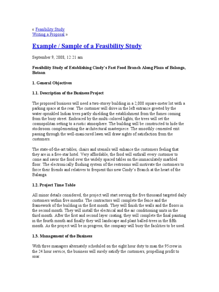 Example / Sample of A Feasibility Study | PDF | Loans | Economies