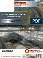 Clase 2 Metsel Concentración de Minerales