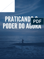 Ebook Praticando o Poder Do Agora Compactado