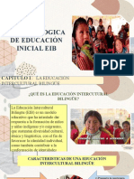 Eib Educacion Inicial