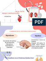 Cambios en Los Sistemas de La Mujer Embarazada