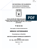 Tesis Alimentacion en Cajamarca