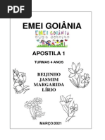 Apostila 4 Anos NUMERO 1