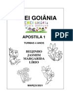 EMEI Goiânia apostila atividades educativas