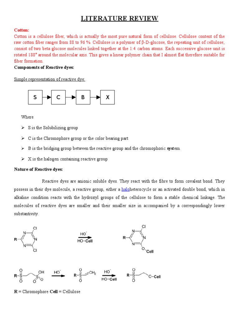 Cotton Dyeing | PDF | Dye | Hydrolysis