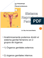 Sistema Genital Femenino, Ciclo Ovarico, Signos y Sintomas Embarazo