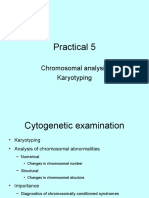 Practical 5: Chromosomal Analysis Karyotyping