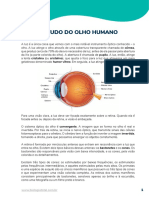 10 - Optica - Estudo Do Olho Humano