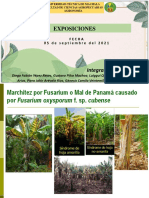 Exposiciones