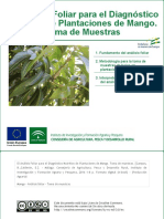 El análisis foliar para el diagnóstico nutritivo de plantaciones de mango_Toma de muestras