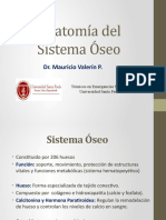 4 Anatomía del Sistema Óseo.USP. Clase 4