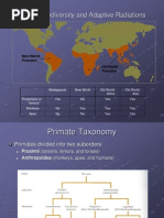 Primate Taxonomy and Classification Chart | PDF | Monkey | Ape