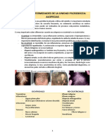 Malalties de La Unitat Pilosebàcia