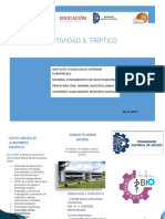 Alan Manuel Mercado Garcia. Ibio. Triptico