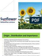 Sunflower Oil Crop Guide