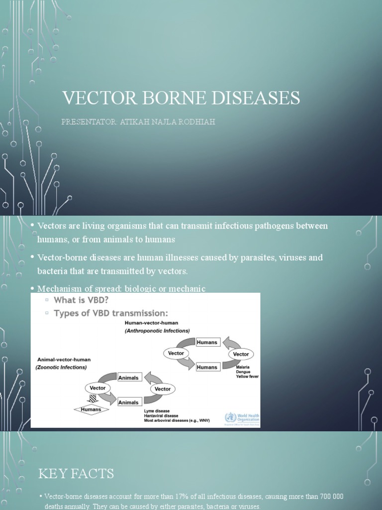 Understanding Vector-Borne Diseases | PDF | Vector (Epidemiology ...