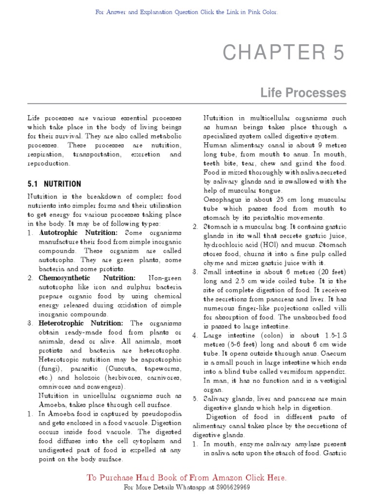 Life Processes 1 | PDF | Digestion | Atrium (Heart)
