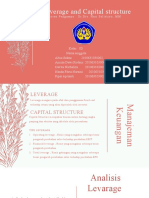Leverage and Capital Structure - 3D