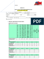 Formatos Anexo 1 Consolidado Segundo Tolerancia