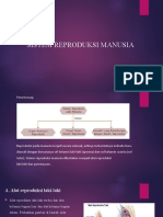 Sistem Reproduksi Manusia