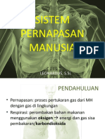 sistem-pernapasan-manusia