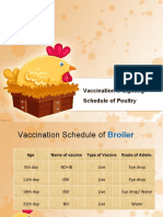 Vaccination & Lighting Schedule of Poultry