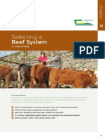 Beef Manual Section3