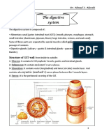 The Digestive System: Sphincters