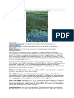 Pond Ecosystem: Piranha Pumps & Dredges Ponds Gold Radiance Hudson Float Valve