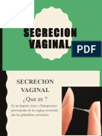 375003010-secrecion-vaginal-110-0