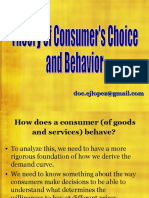 Lesson4 Theory of Consumers Choice and Behavior