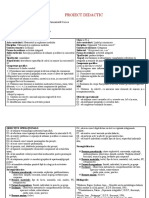 Proiect Didactic Simultan I-MEM - IV-Opțional Să Scriem Corect