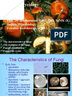 Understanding Fungal Characteristics and Life Cycles
