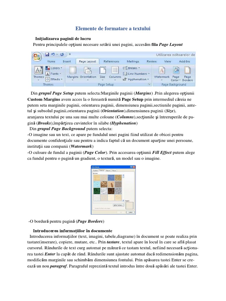 Elemente de Formatare A Textului | PDF