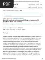 Bacteria-Inspired Nanorobots With Flagellar Polymorphic Transformations and Bundling - Scientific Reports