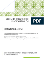 Aplicación de Instrumentos Práctica Clínica Ciap