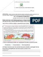 Atividade de Ci Encia 13 e 14 Semana