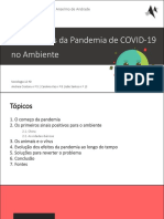 Os impactos da pandemia no ambiente