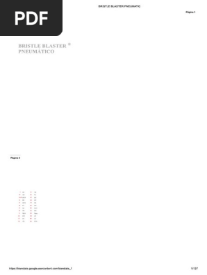 Bristle Blaster Pneumatic | PDF